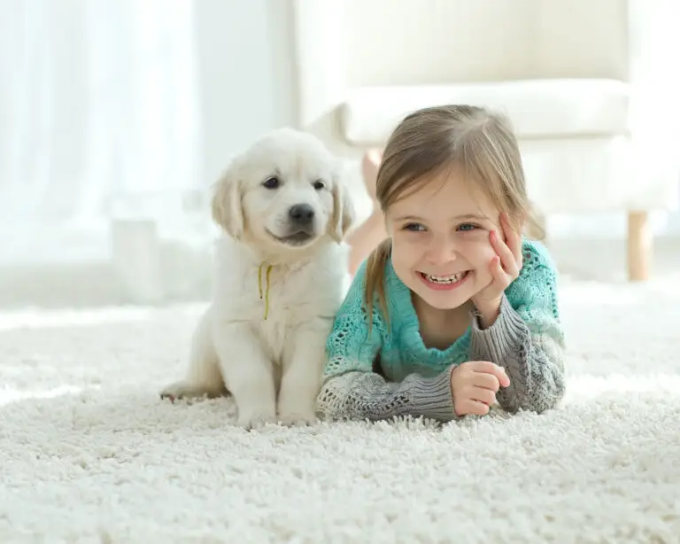 Young girl and puppy lying on soft white carpet flooring